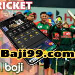 IPL 2024 Schedule Save the Dates and Place Your Bets with Baji - Baji login